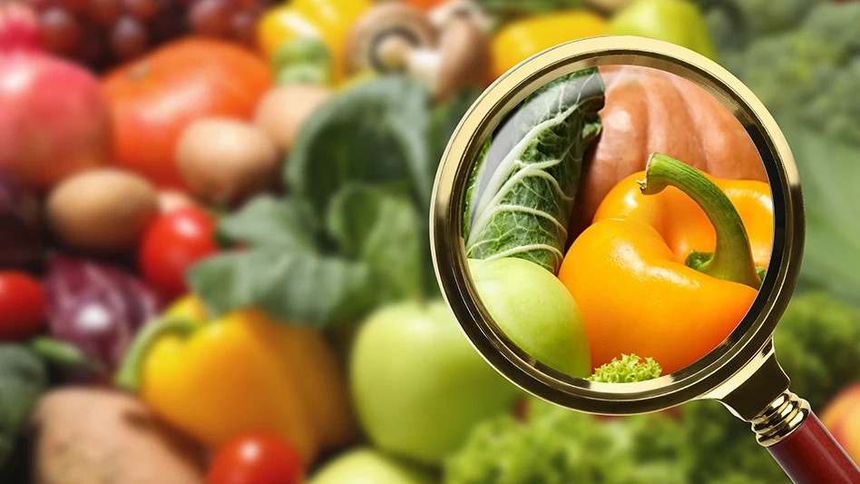 Essential HACCP Training: A Path to Unwavering Food... - Abrasive Wheels Training UK