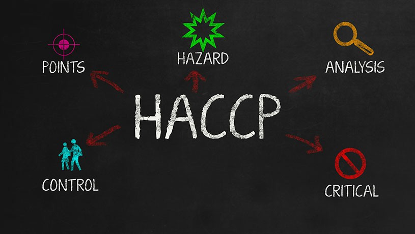 HACCP Training: Essential for Food Safety Compliance in... - Abrasive Wheels Training UK
